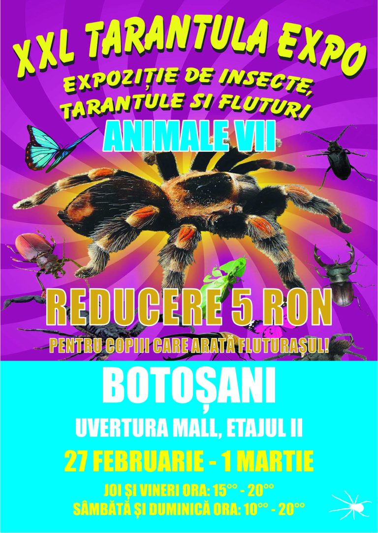 XXL Tarantula Expo Uvertura MALL Ne vedem in centru!